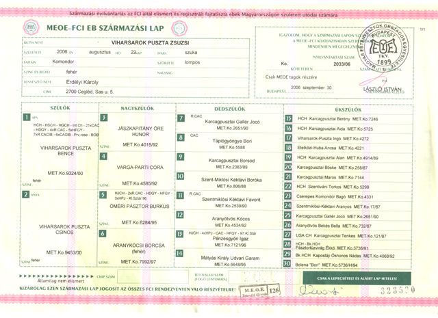 Zsuzsi származási lapja